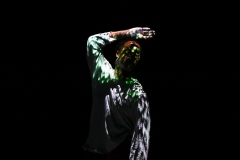 \'Surge\' by Tom Dale Company