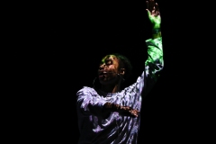 \'Surge\' by Tom Dale Company